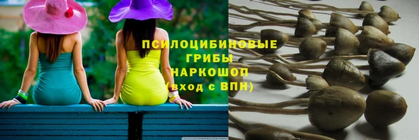 прущий лед Армянск