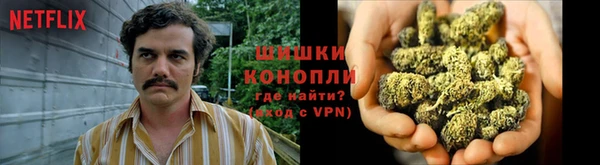 стафф Аркадак