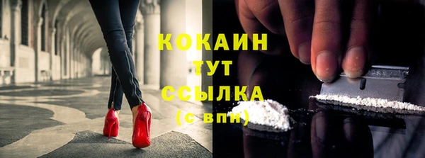 стафф Аркадак