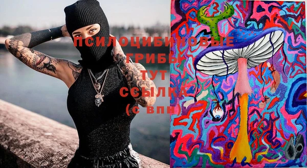 прущий лед Армянск