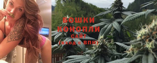 гашик Покровск