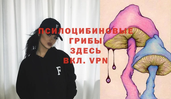ALPHA PVP Арсеньев
