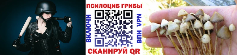 Галлюциногенные грибы GOLDEN TEACHER  даркнет телеграм  Артёмовский  купить наркотики цена 